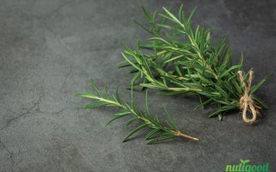 benefits of rosemary oil