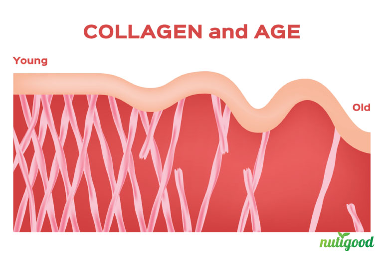 benefits of collagen for the skin